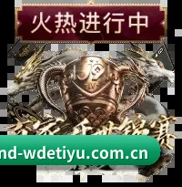 华语体坛中坚